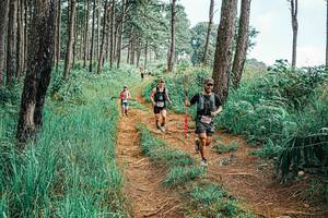 BIB: 
                            <button type="button" onclick="openModal(25655298)" class="btn btn-primary btn-sm float-right btn-popup" data-toggle="modal" data-target=".modal-high-quality">
                        <i class="fas fa-shopping-cart"></i> Add to Cart
                    </button>
                                            <button type="button" onclick="isThisMe(25655298, true)" class="btn btn-success btn-sm float-right btn-popup btn-isme hidden" data-toggle="tooltip" data-placement="bottom" title="นี่คือรูปของคุณใช่ไหม คลิกที่นี่เพื่อเอาเข้าอัลบั้ม">
                        <i class="fas fa-plus"></i> Add to album
                    </button>
                    <button type="button" onclick="isThisMe(25655298, false)" class="btn btn-warning btn-sm float-right btn-popup btn-isnotme hidden">
                        <i class="fas fa-ban"></i> Remove from album
                    </button>